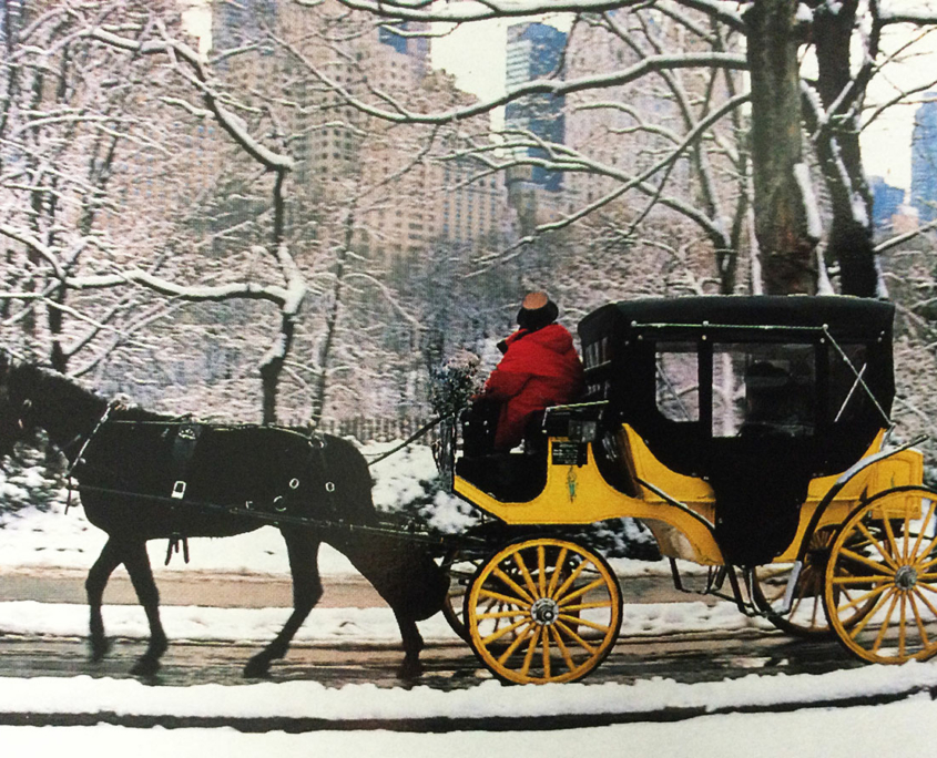 So romantisch: eine Kutschfahrt im Schnee durch den Central Park.