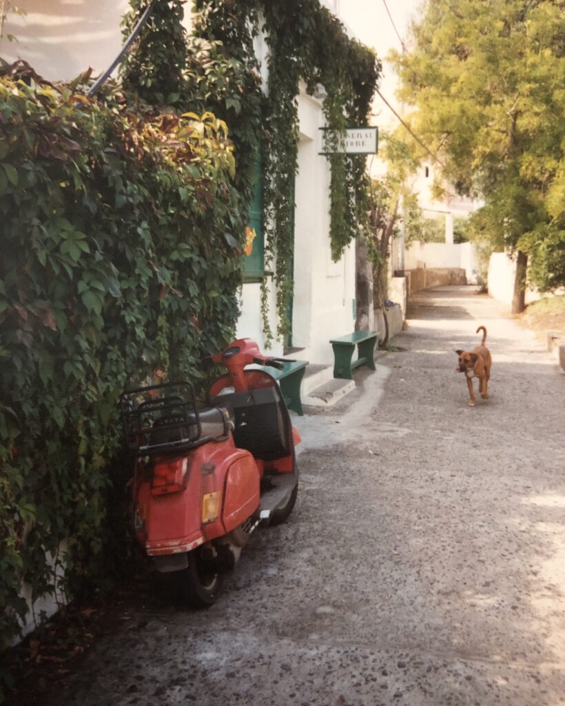 Für Autos zu schmal – die Gassen von Stromboli
Überall üppige Gärten und stille Patios